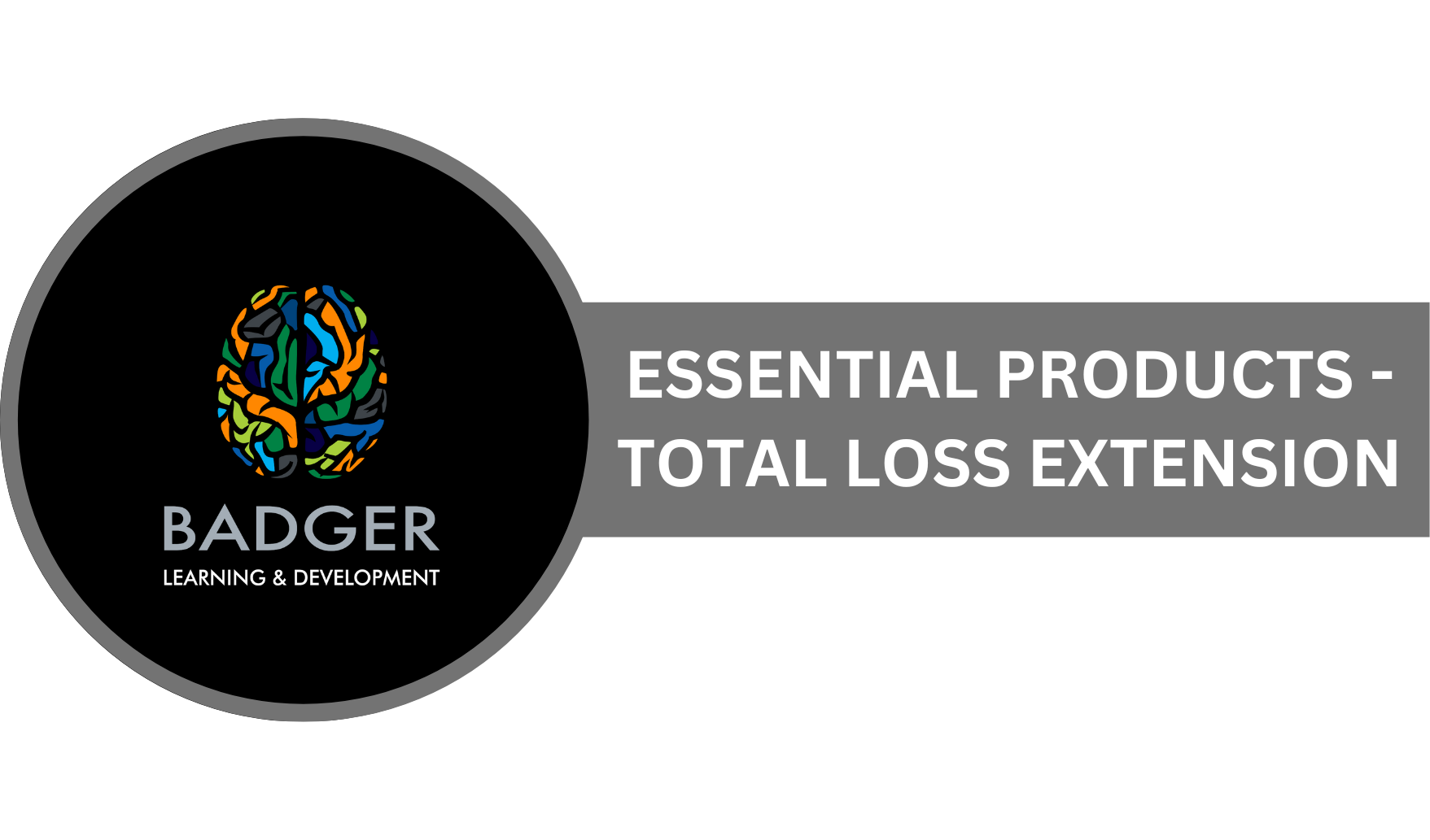 EP - TOTAL LOSS EXTENSION