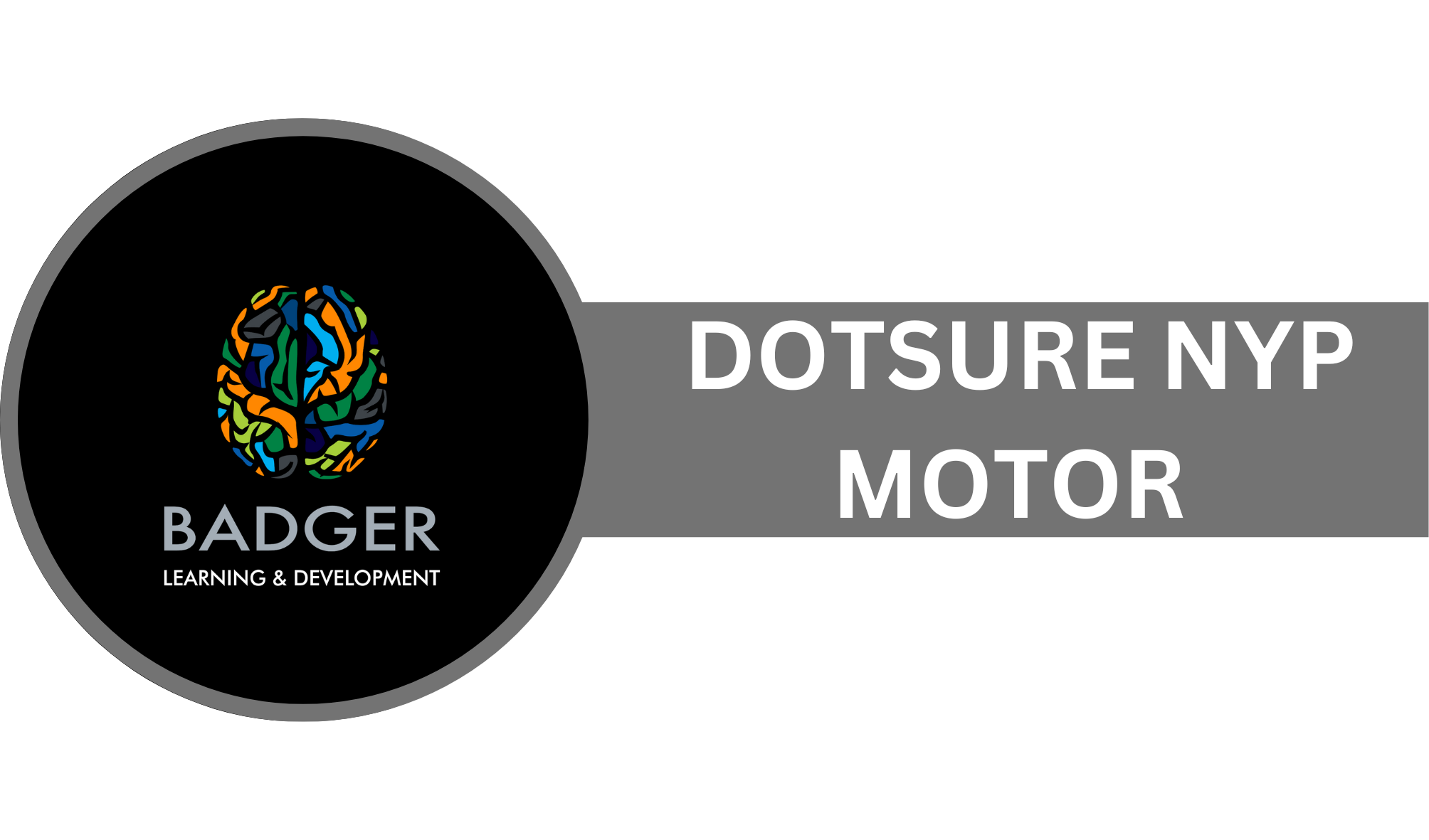 DOTSURE NYP - MOTOR (mc test)