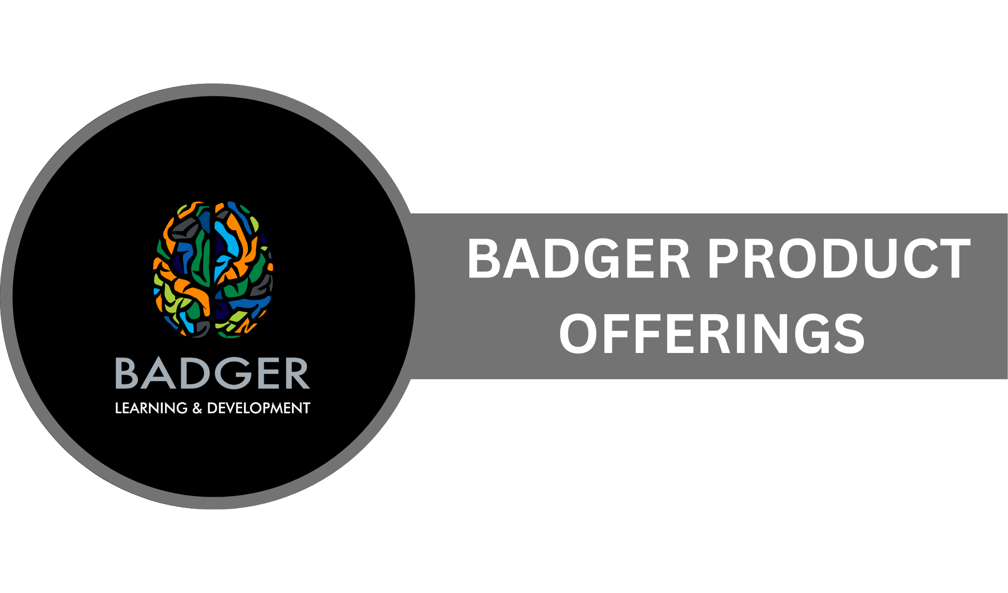BADGER INDUCTION - BADGER PRODUCT OFFERINGS - Summary