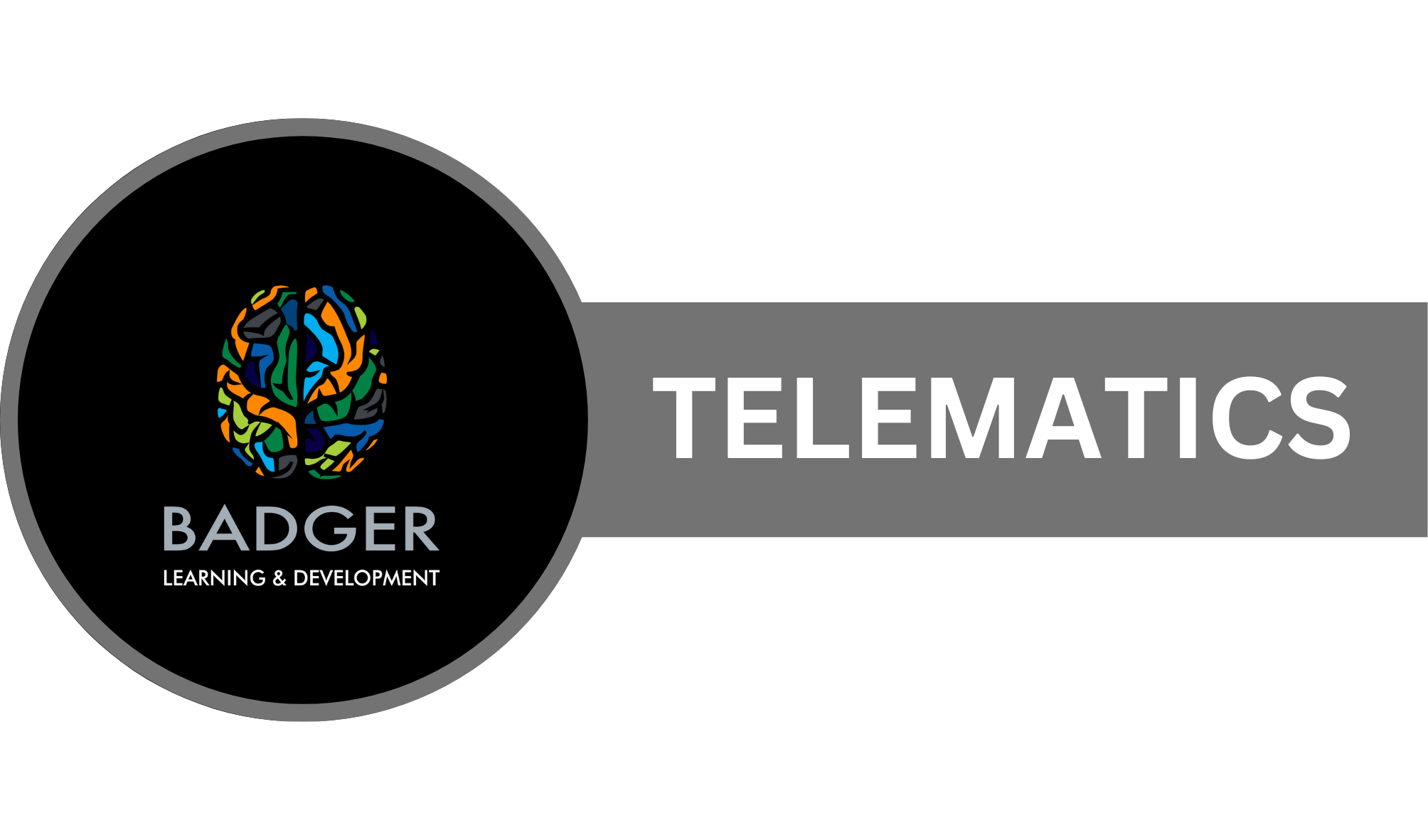 TELEMATICS 