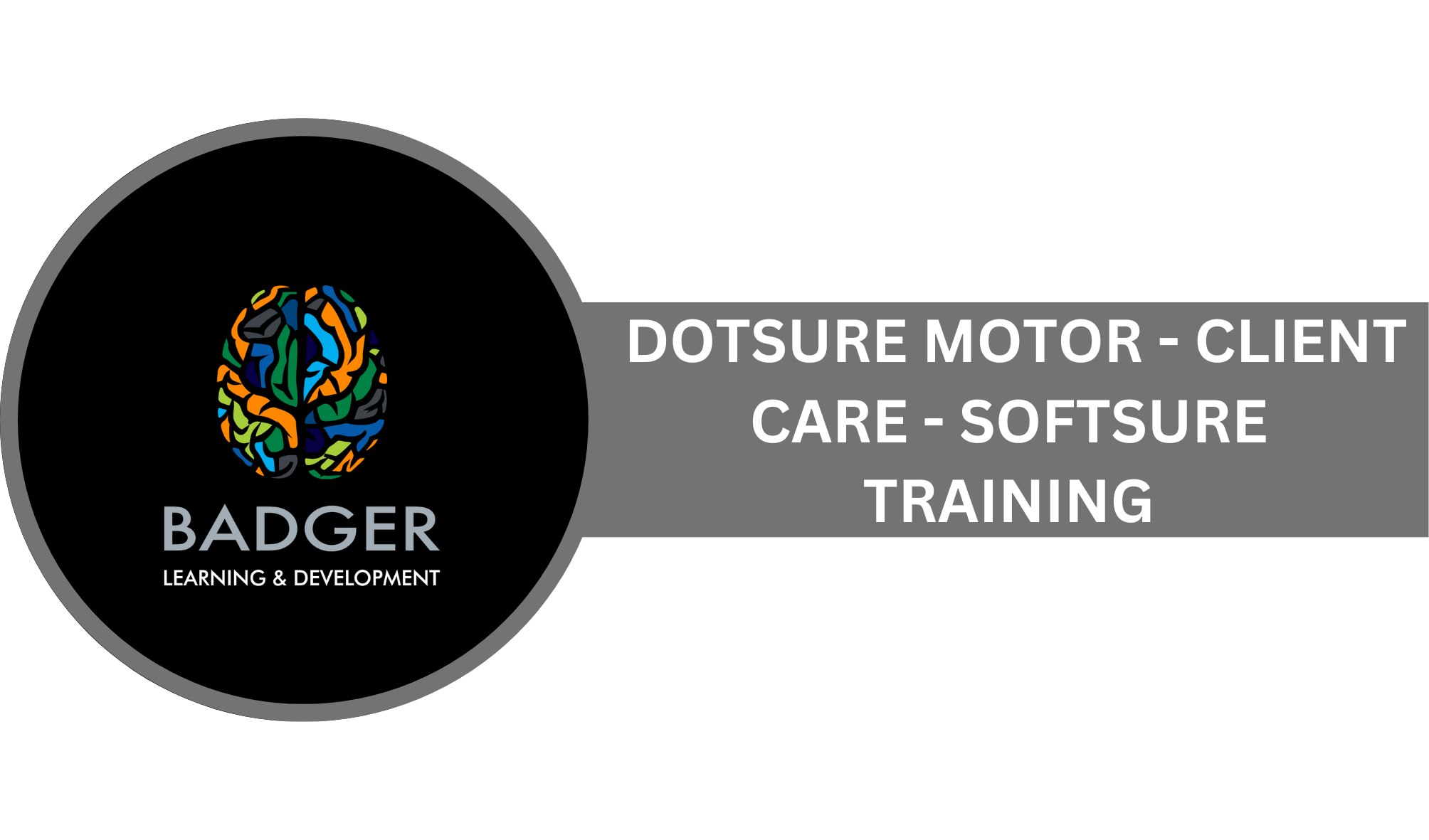 DOTSURE MOTOR - CLIENT CARE - SOFTSURE TRAINING