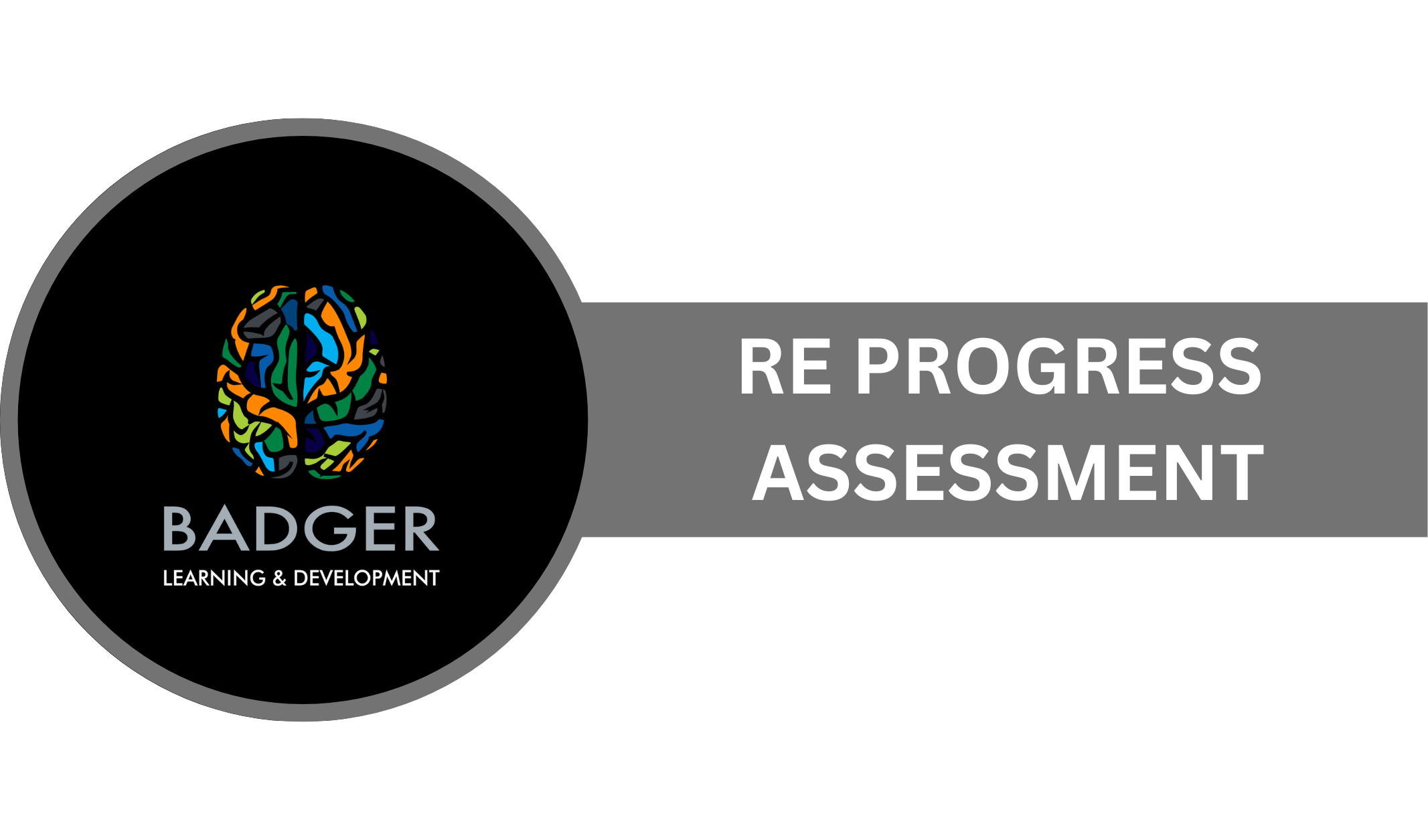 RE Progress Assessment