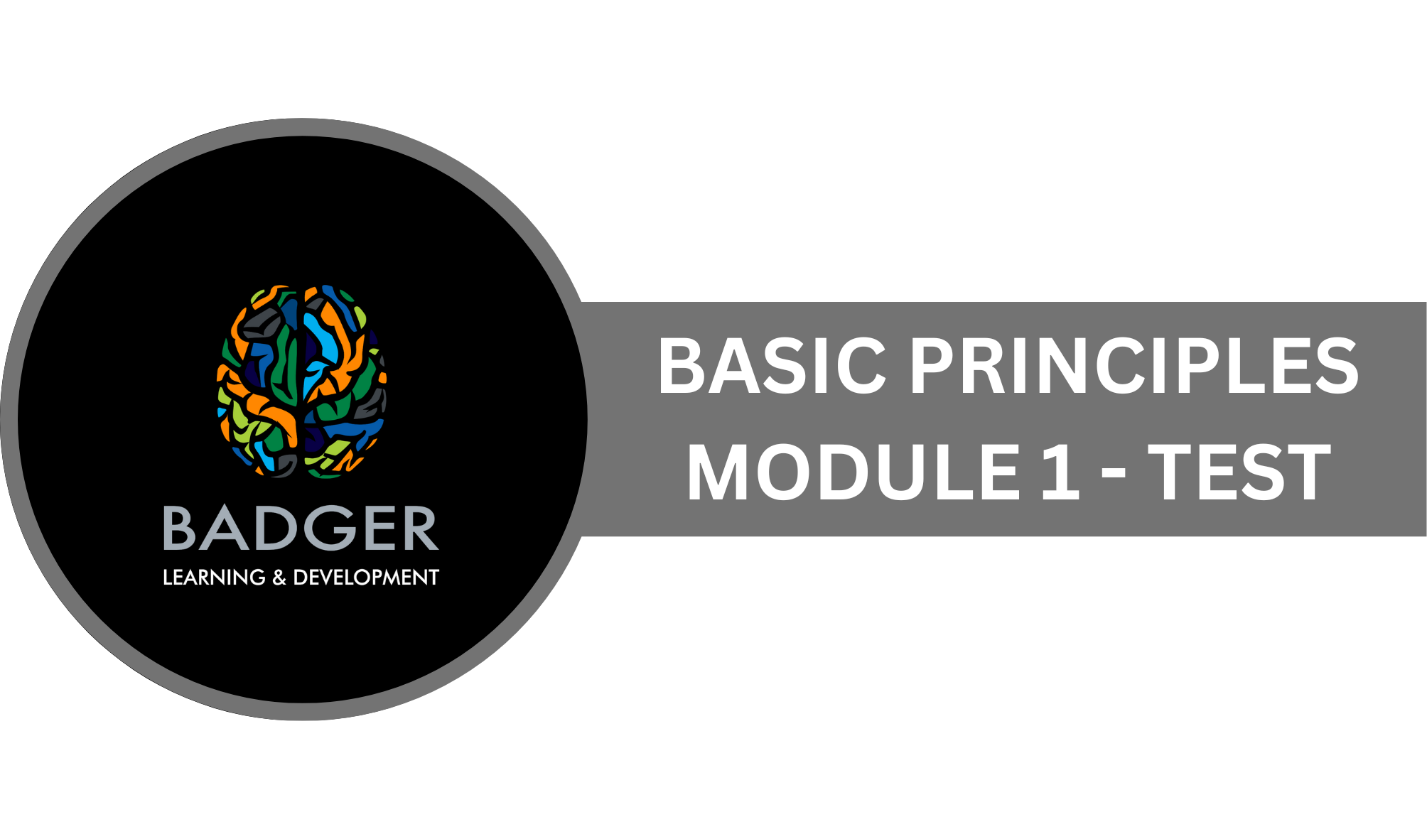 BASIC PRINCIPLES - MODULE 1 TEST