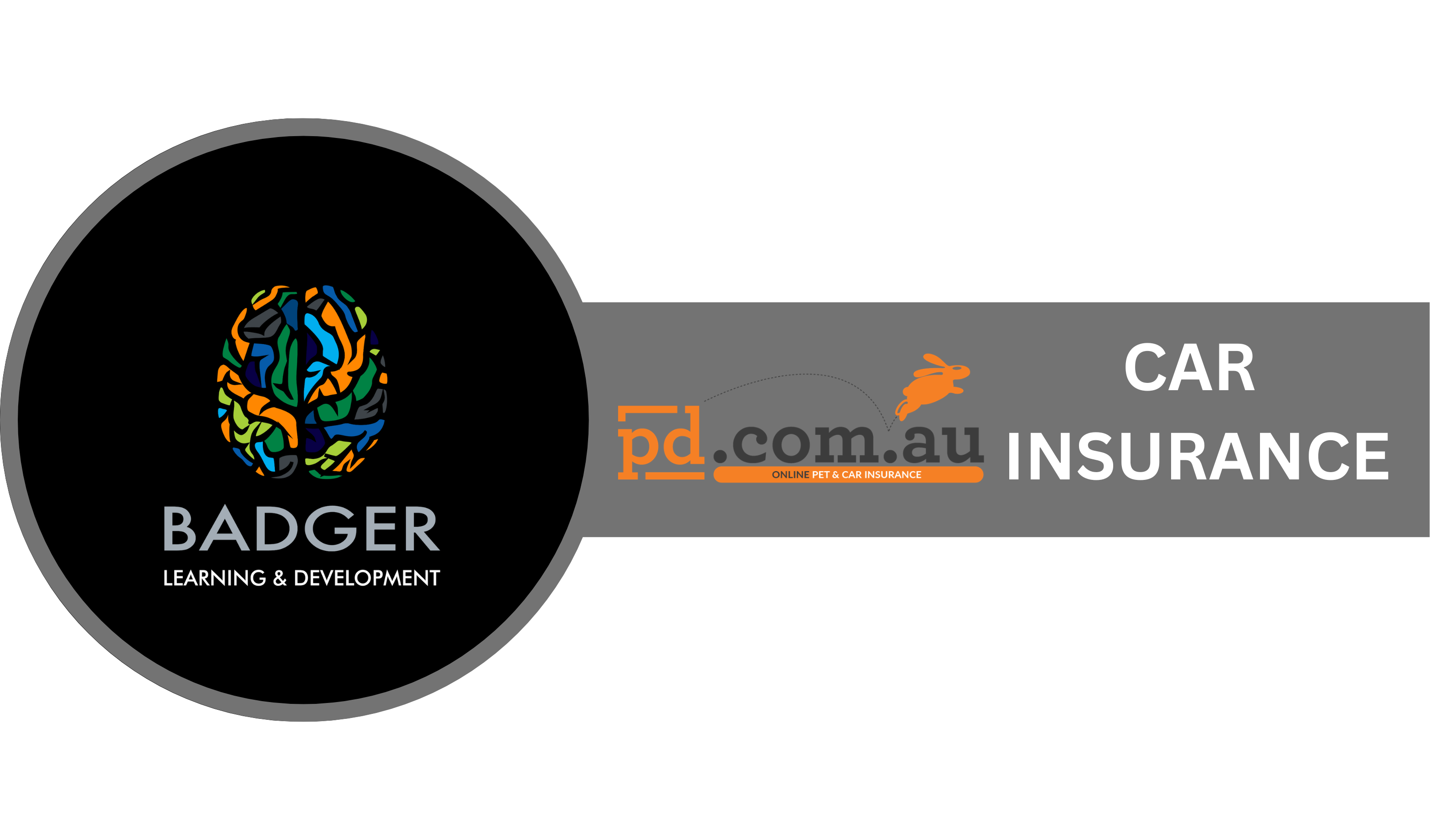 PD CAR INSURANCE & EXTENSIONS