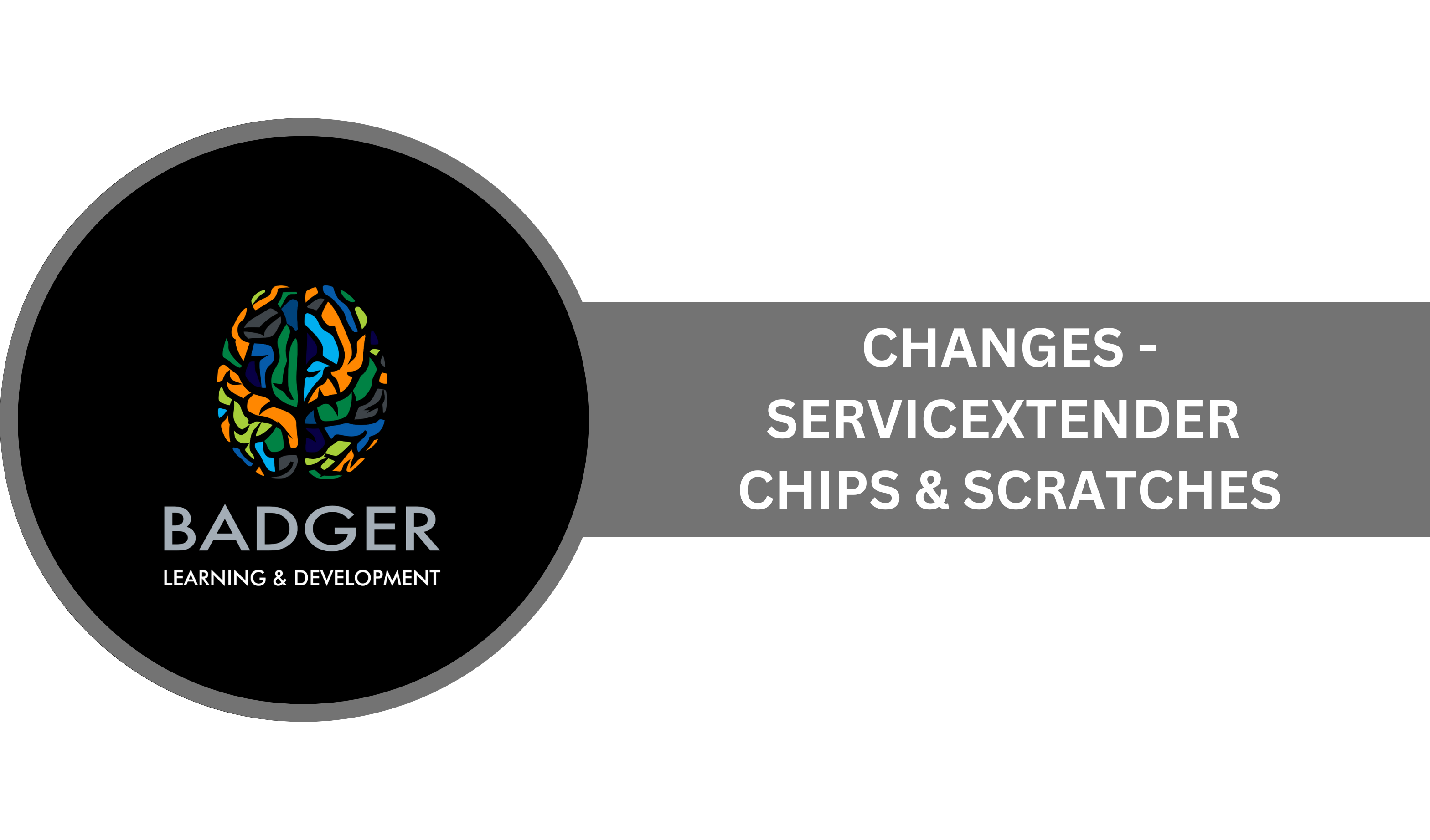CHANGES - DOTSURE SERVICEXTENDER - CHIPS & SCRATCHES - August 2024