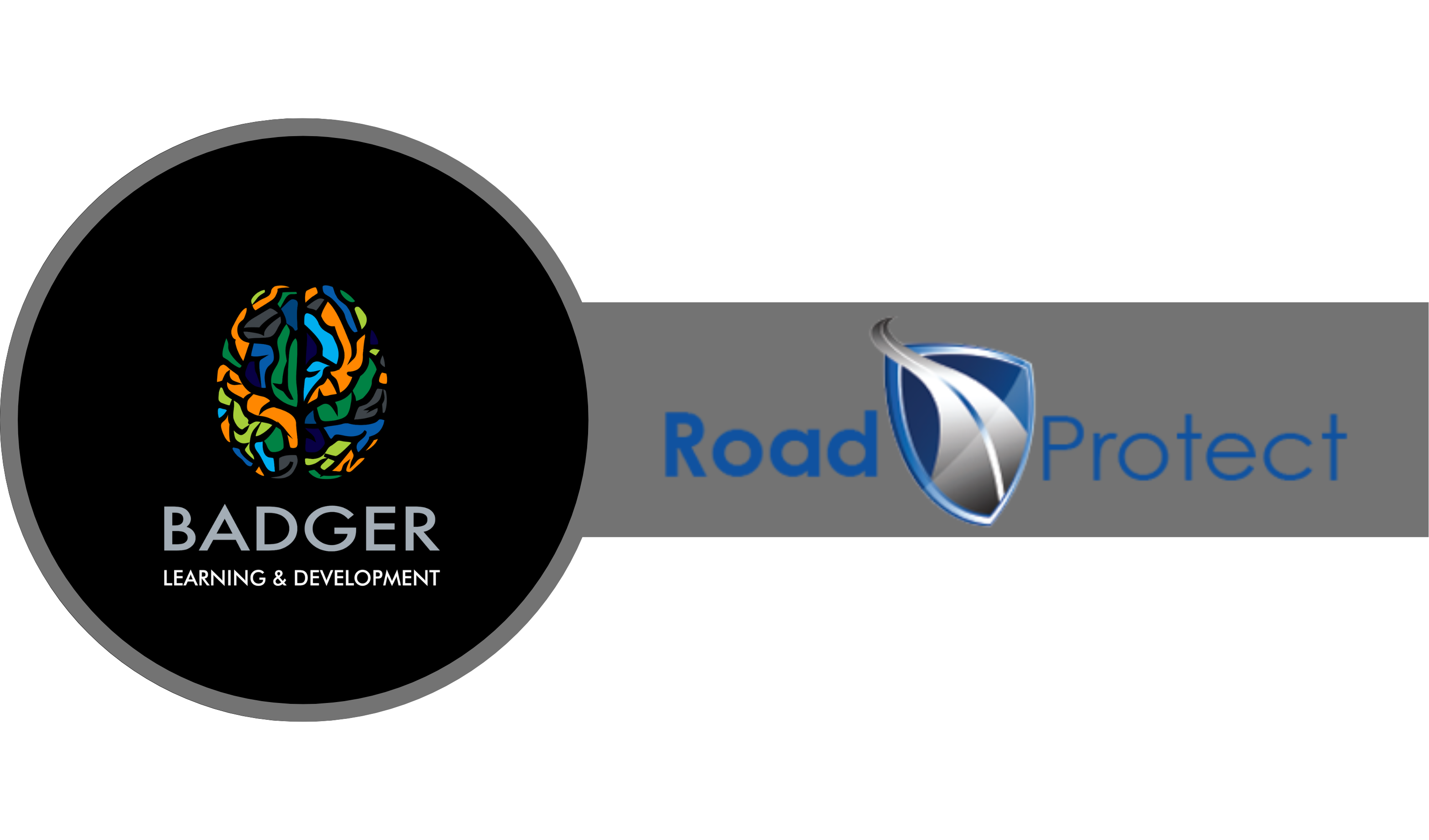 SPRINGS - ROAD PROTECT