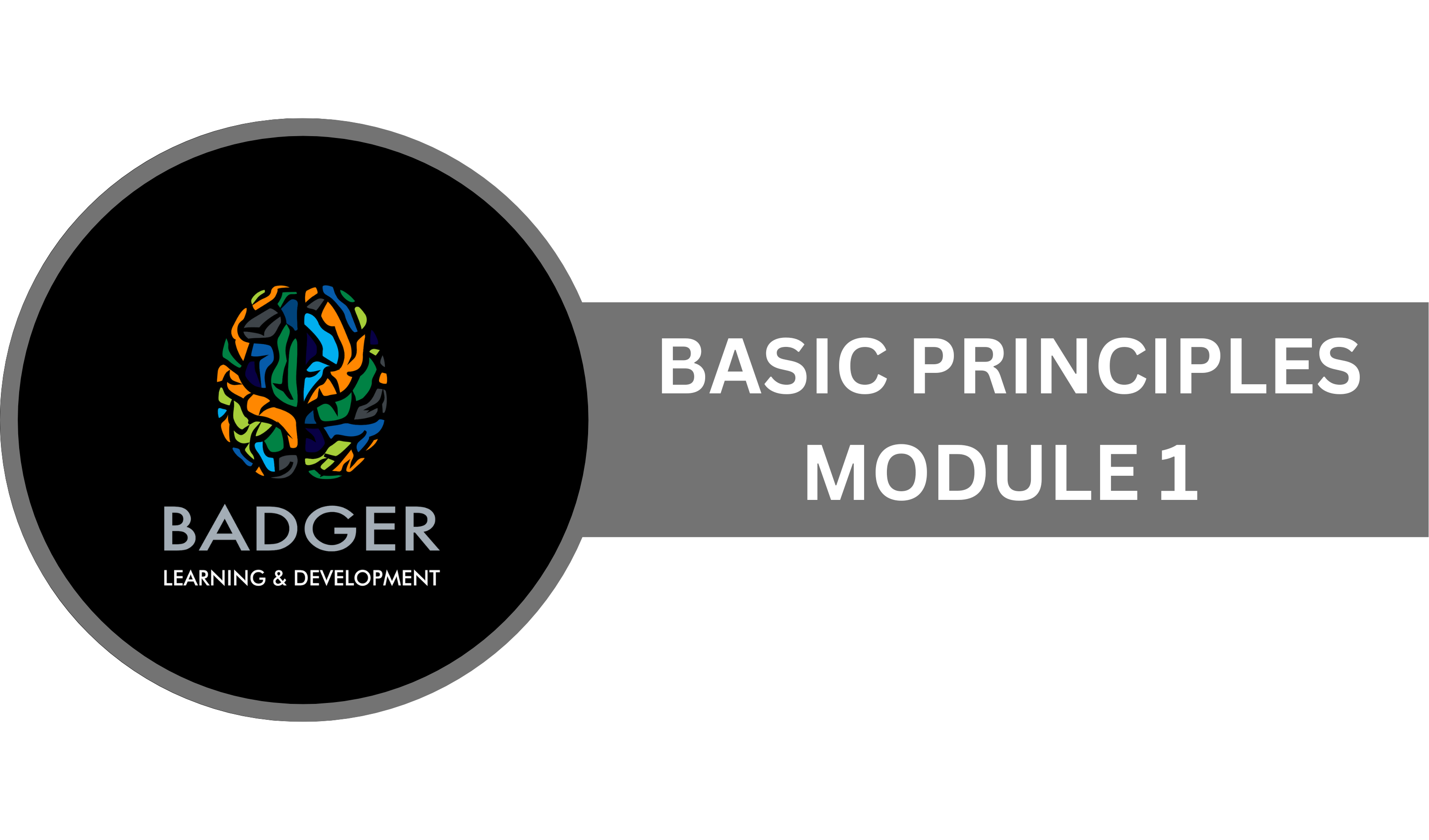 BASIC PRINCIPLES - MODULE 1