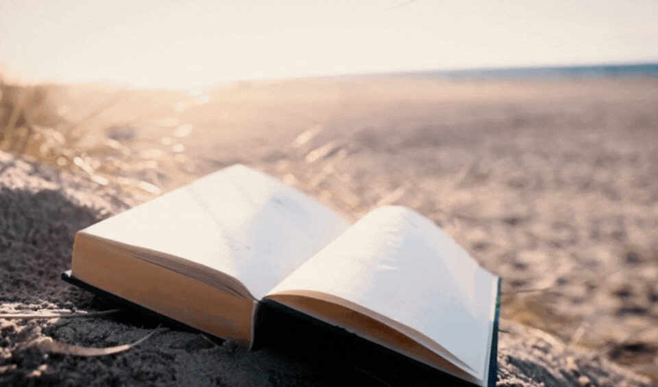 Book Insight - Emotional Intelligence