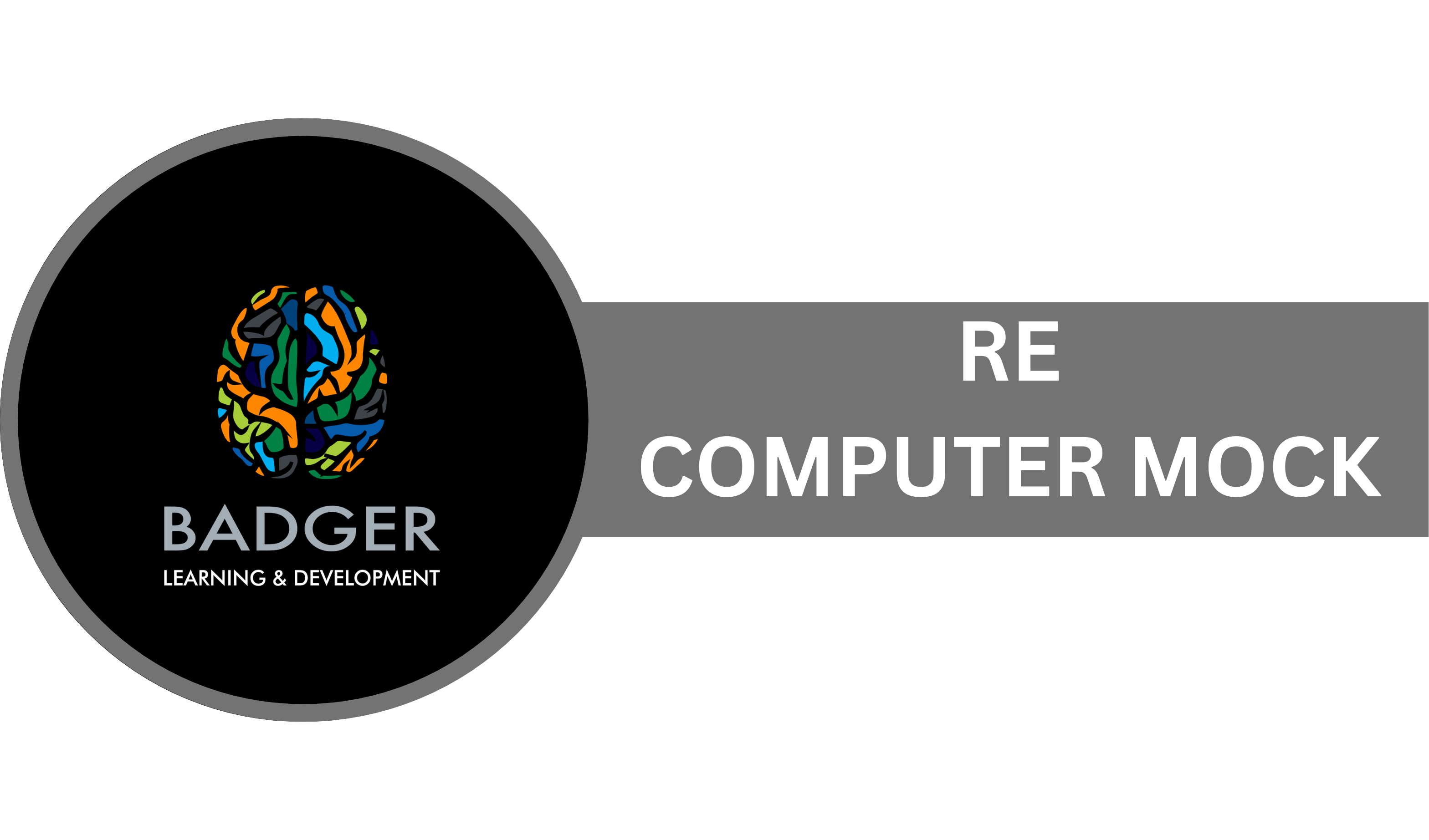 Computer RE Mock