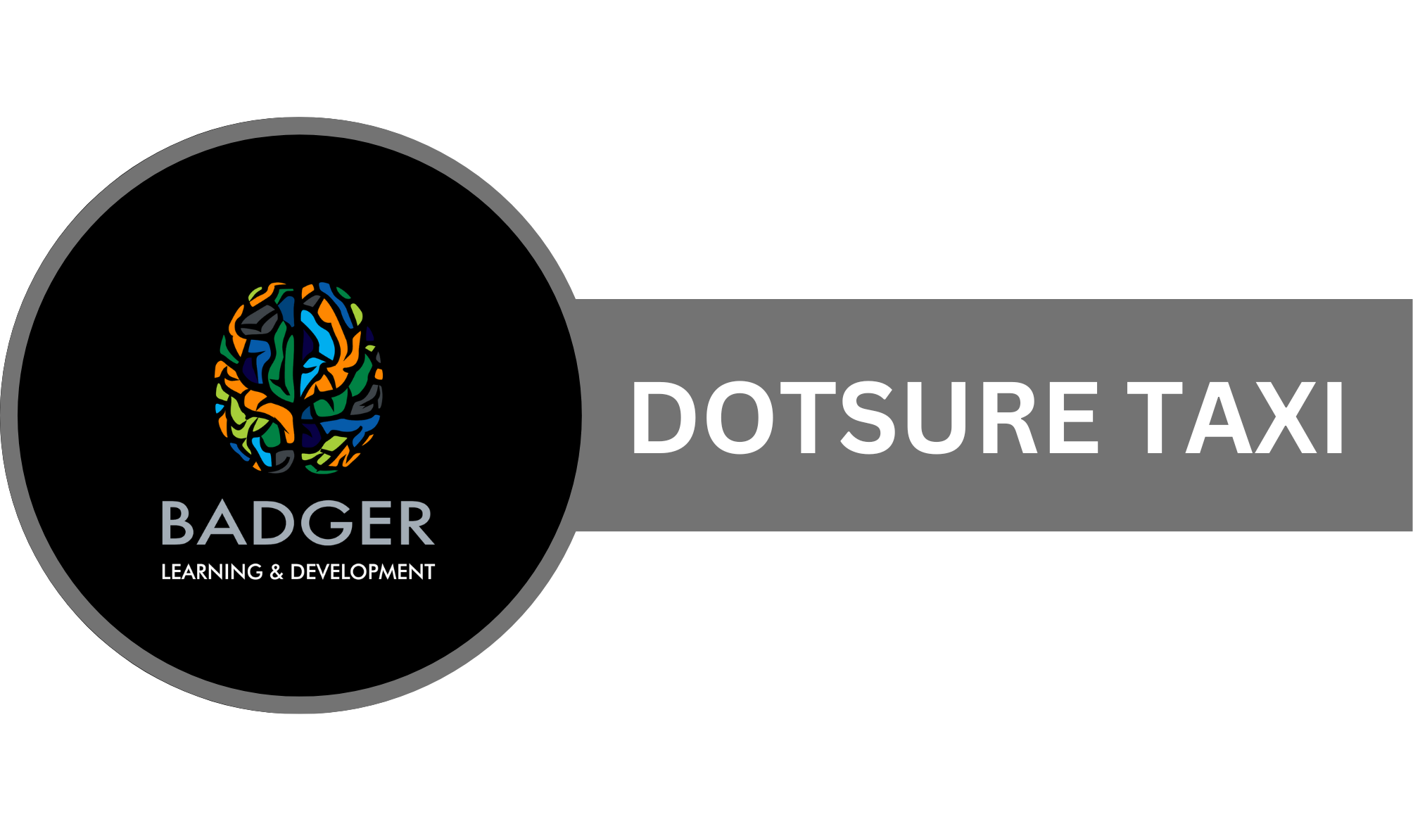 BROKERS- DOTSURE TAXI