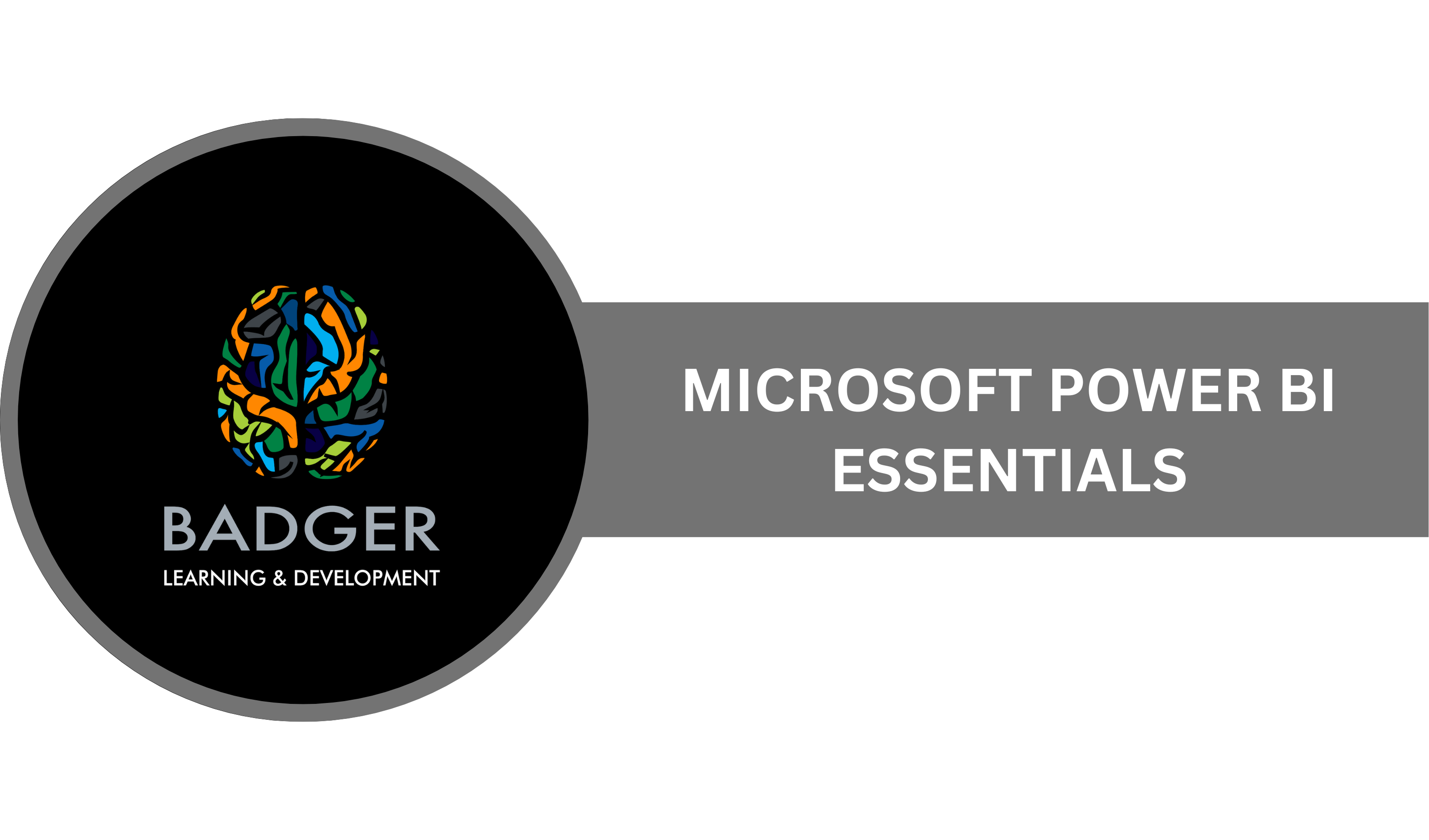 MICROSOFT POWER BI ESSENTIALS