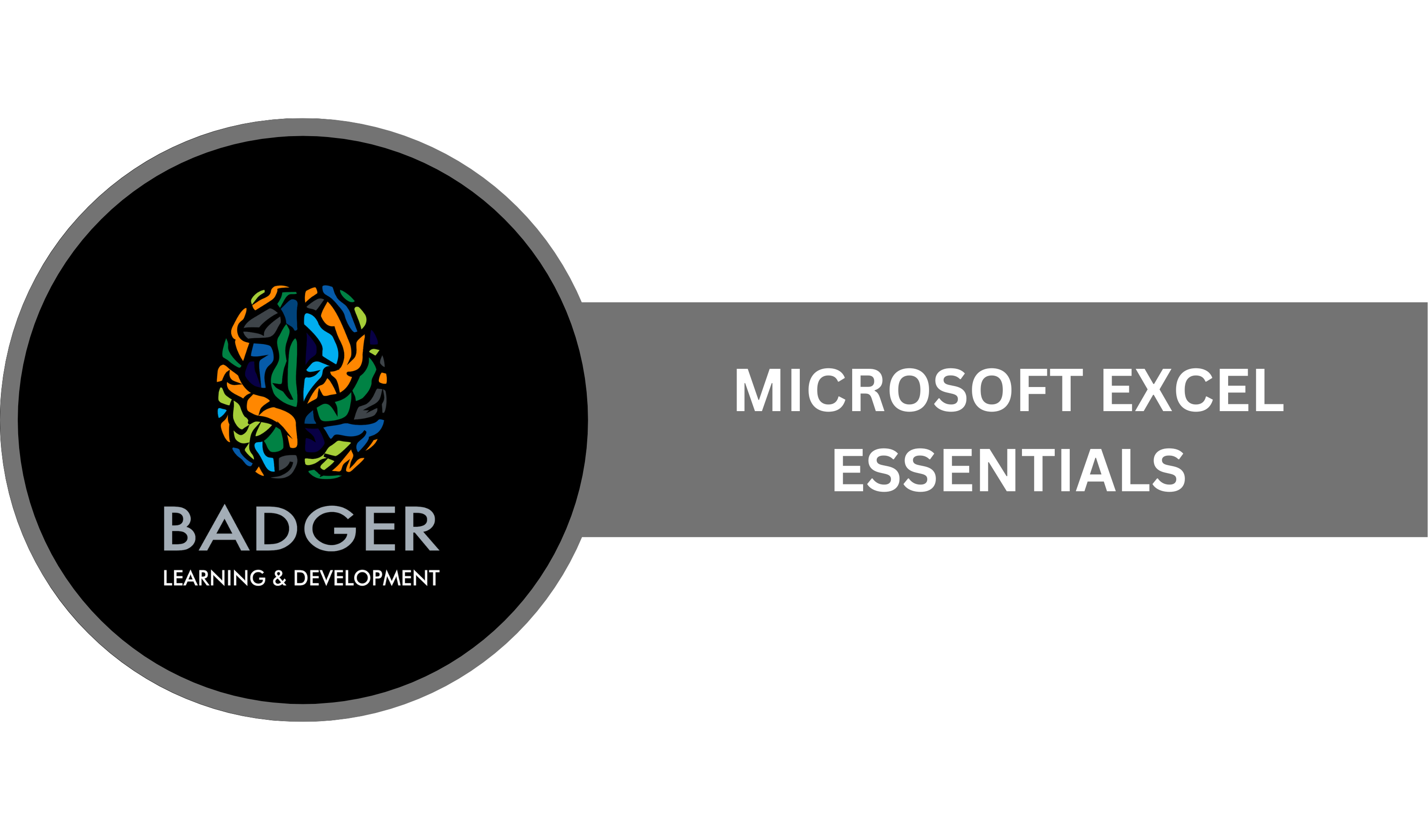 MICROSOFT EXCEL ESSENTIALS