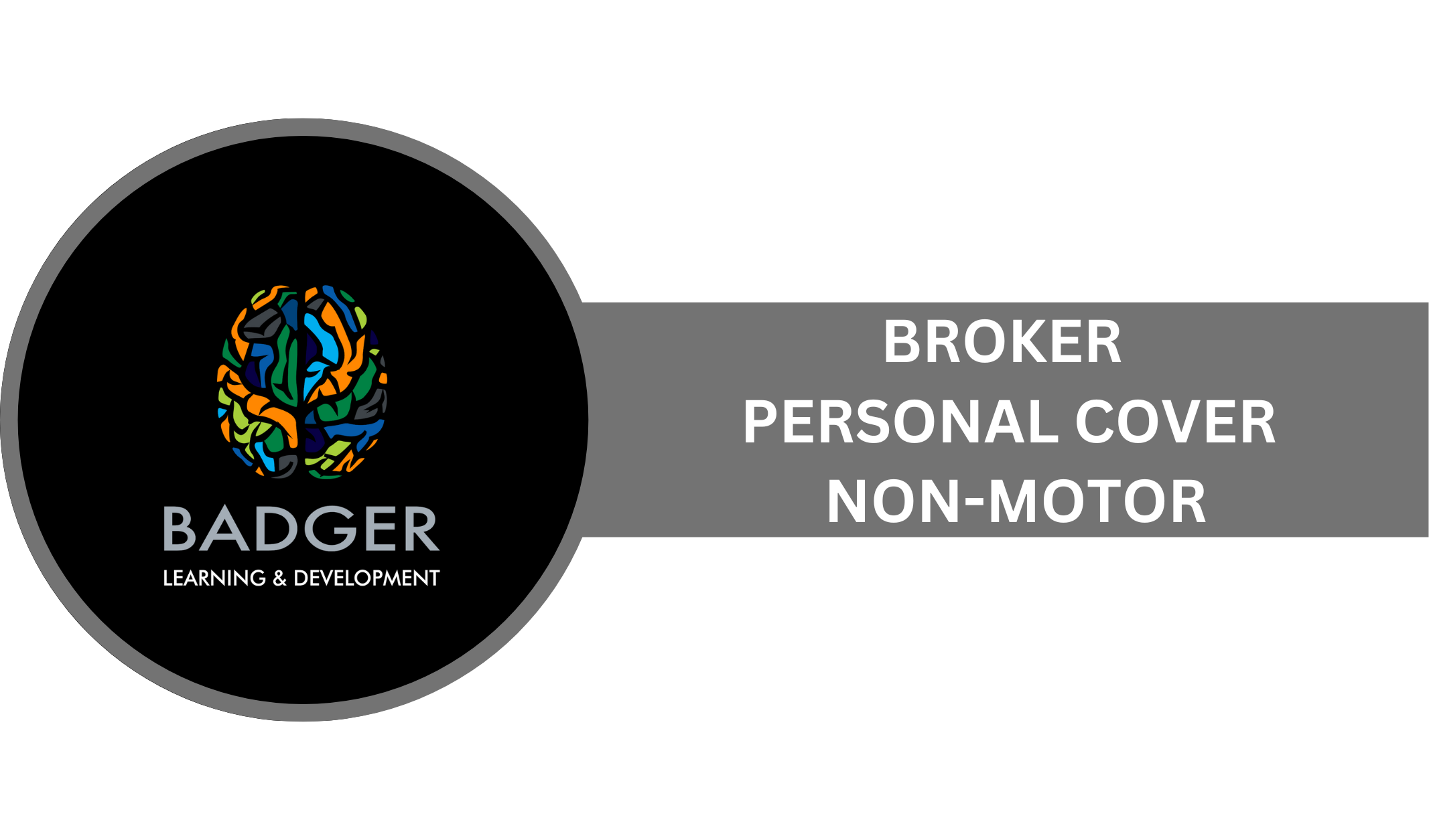 BROKERS DOTSURE PERSONAL COVER - NON-MOTOR
