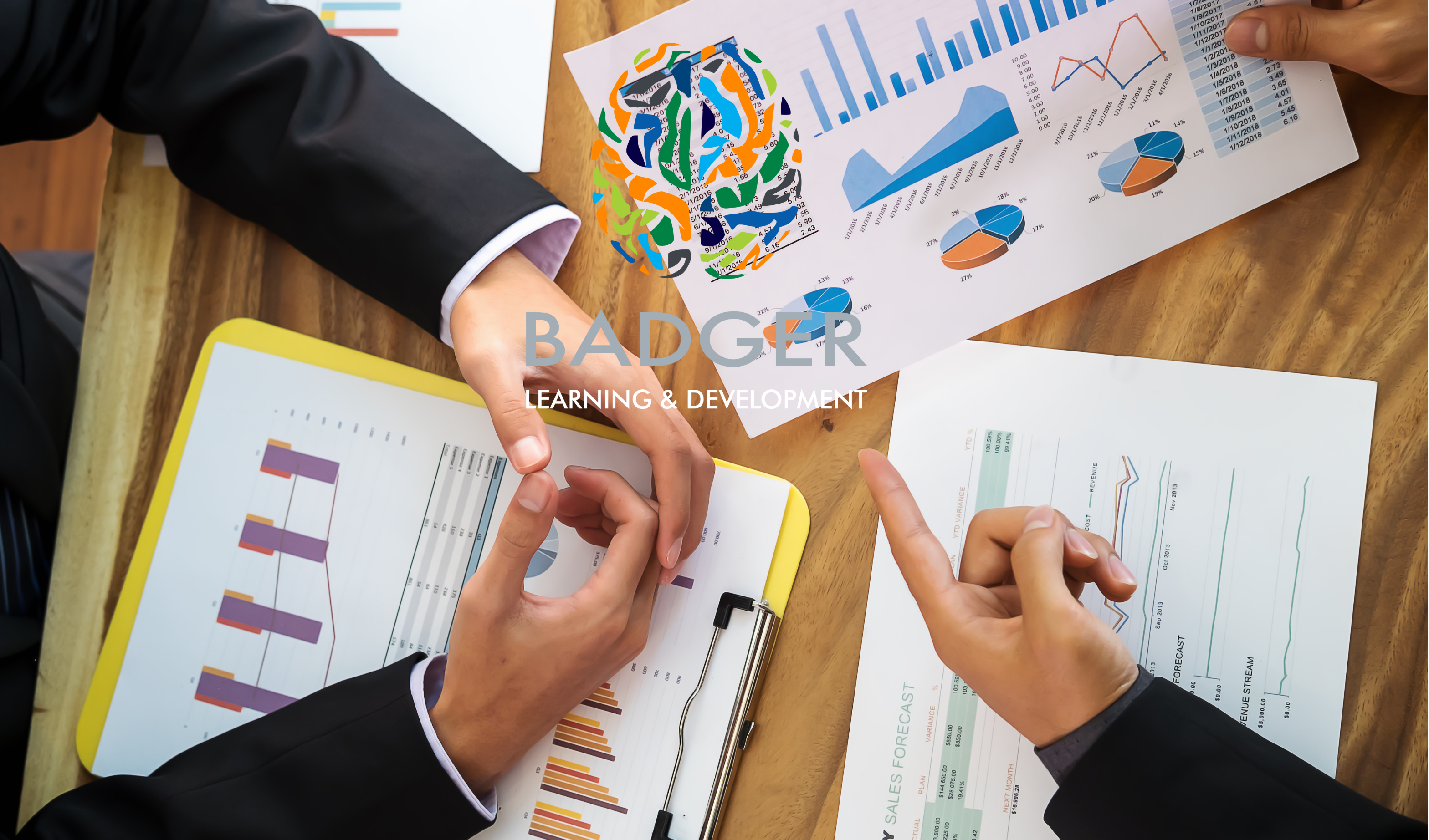 FAILURE MODE AND EFFECTS ANALYSIS (FMEA)
